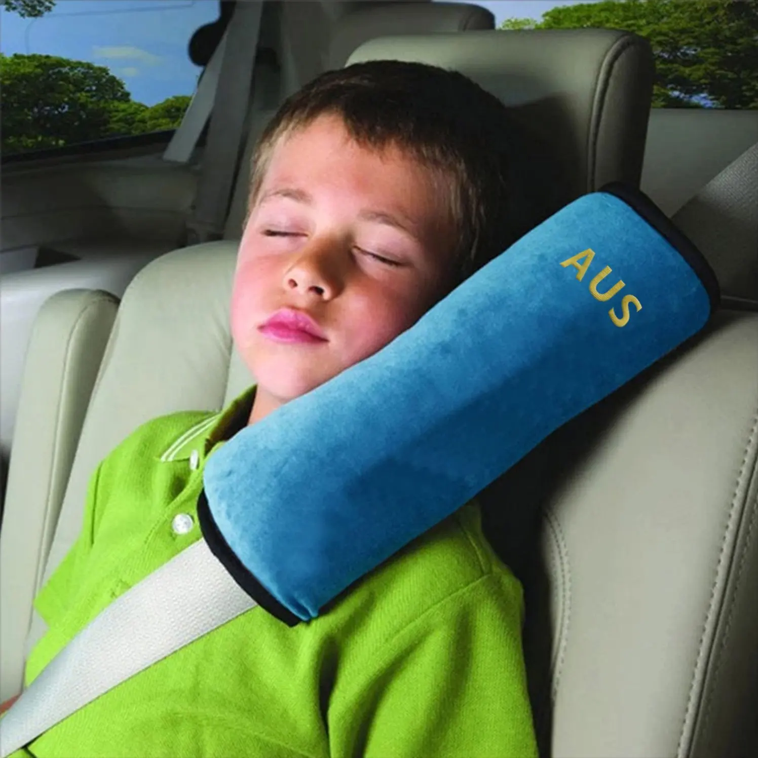 seat belt pillow pet