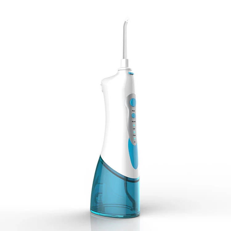 electric oral irrigator
