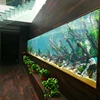 Reef aquarium marine fish tank