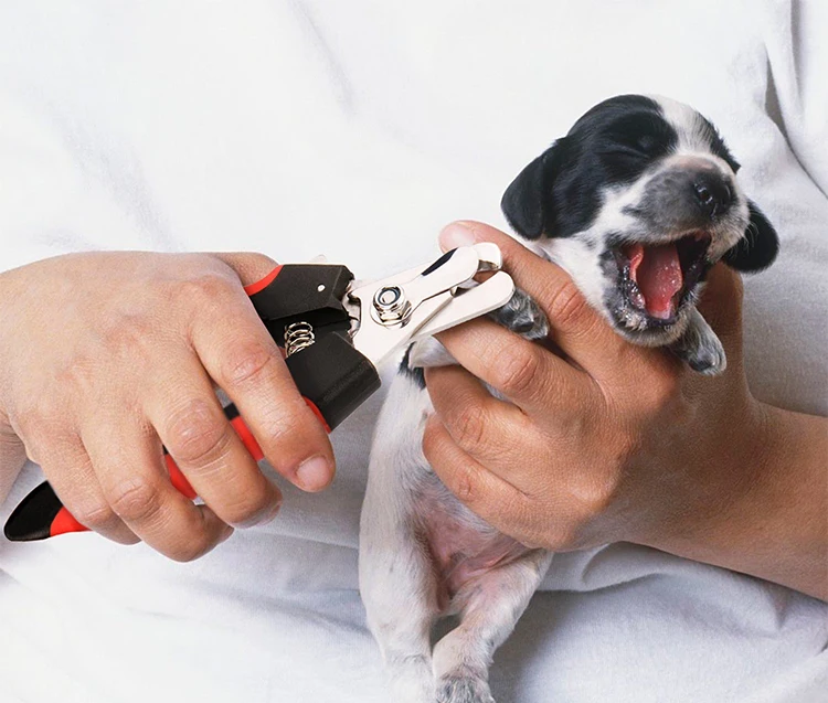 pet  nail clipper 1.jpg