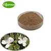 Pure Natural High Quality China Manufacturer Caper Extract Powder