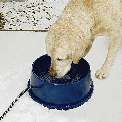 Heated Water Bowl For Dogs Find K H Pet Products Thermal Bowl Outdoor Heated Water Ice Free For Dogs