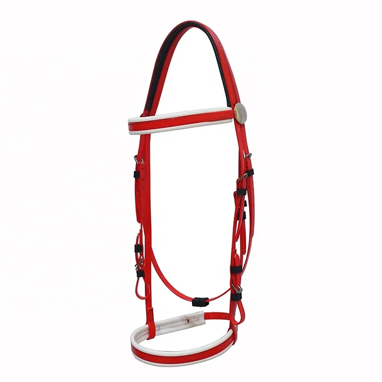 bridle 006.jpg