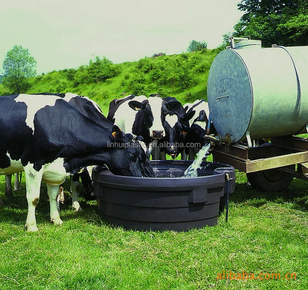Cattle Drinking Trough Sink White Undermount And Tub Buy Cattle