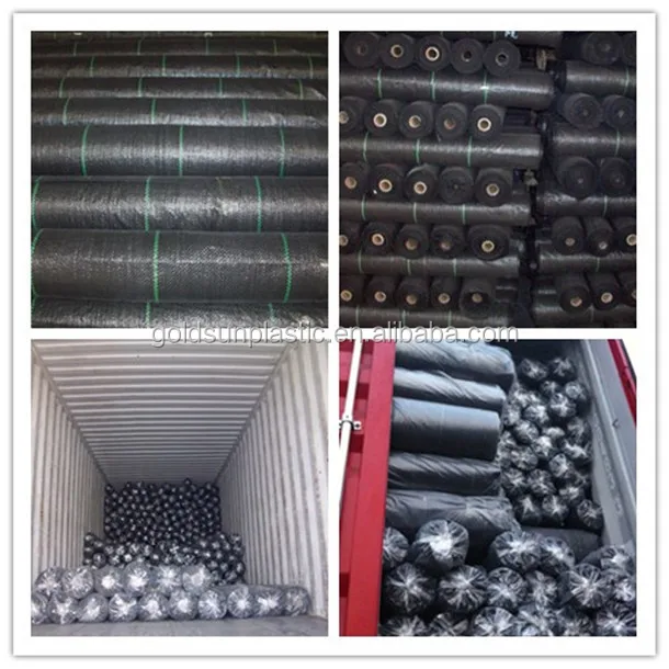 Murah Kualitas Atas Penutup Tanah Anti Gulma Tikar Dengan Lubang Hitam Buah Buahan Pohon Akar Perlindungan Rumput Gulma Pencegahan Tikar Buy Kain Pp Gulma Tikar Penutup Tanah Product On Alibaba Com