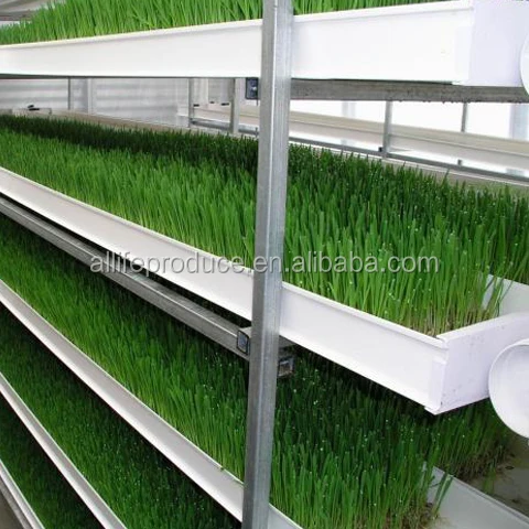 fodder system.jpg