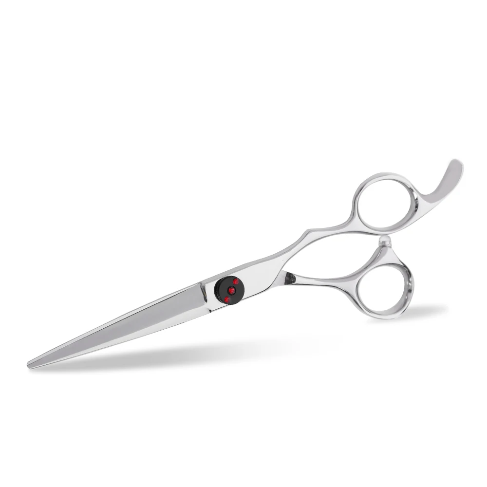 salon grade scissors