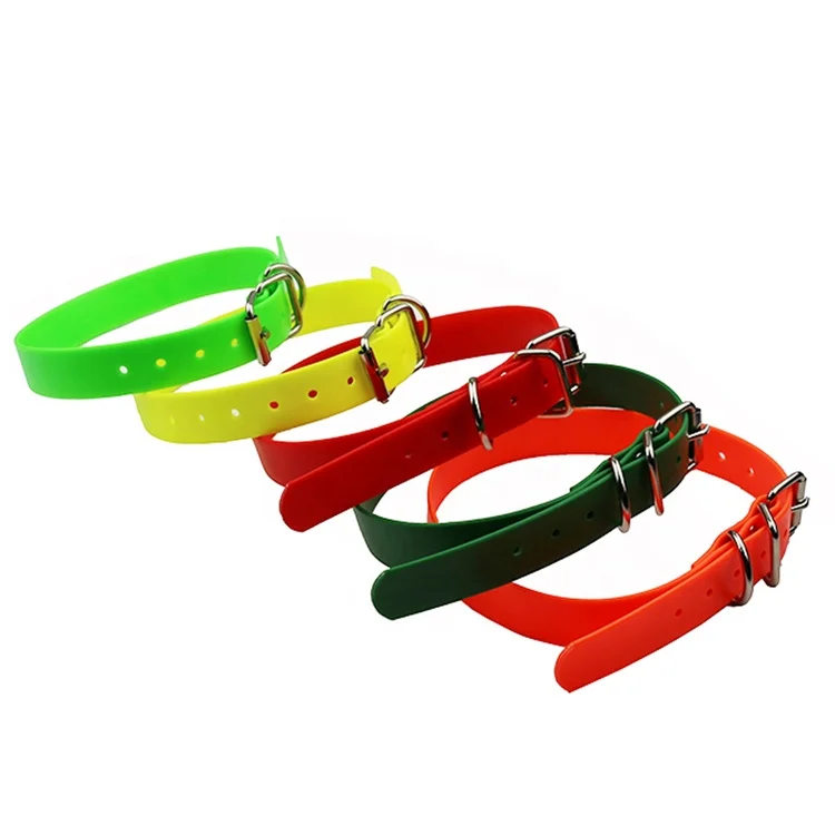 greyhound dog collars