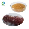 Best quality marine red algae extract with good price