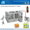 juice Filling and Packaging Machine/Production Line