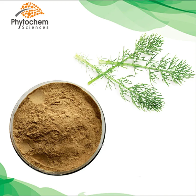 Herbal Extract Horsetail Powder Buy Pure Horsetail Extract Powder