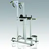 Hot Sale Gym Equipment /Vertical Knee Raise Machine/Fitness Equipment L-027