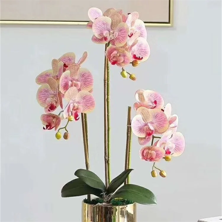 Hot Sale Real Touch Latex Artificial Phalaenopsis Orchid Flower Wholesale 3 D Printing