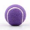 /product-detail/2019-hot-sales-1-75-6-high-quality-promotional-tennis-ball-60682610397.html