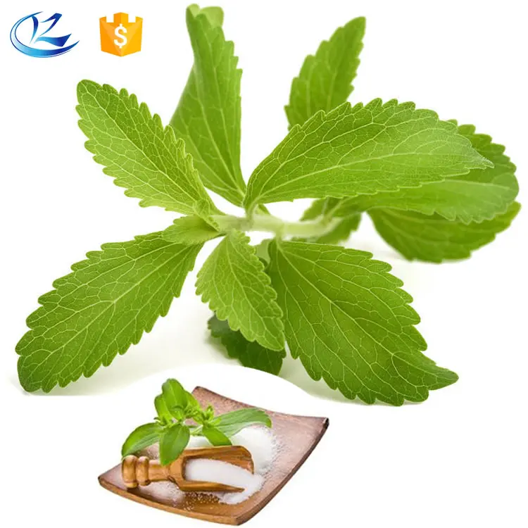 health stevia