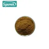GMP Factory Supply High Quality 10:1, Leek Seed P.E./ Leek seed Extract Powder Powder
