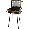 Makeup Train Stand Case With Pro Studio Artist Trolley - Black