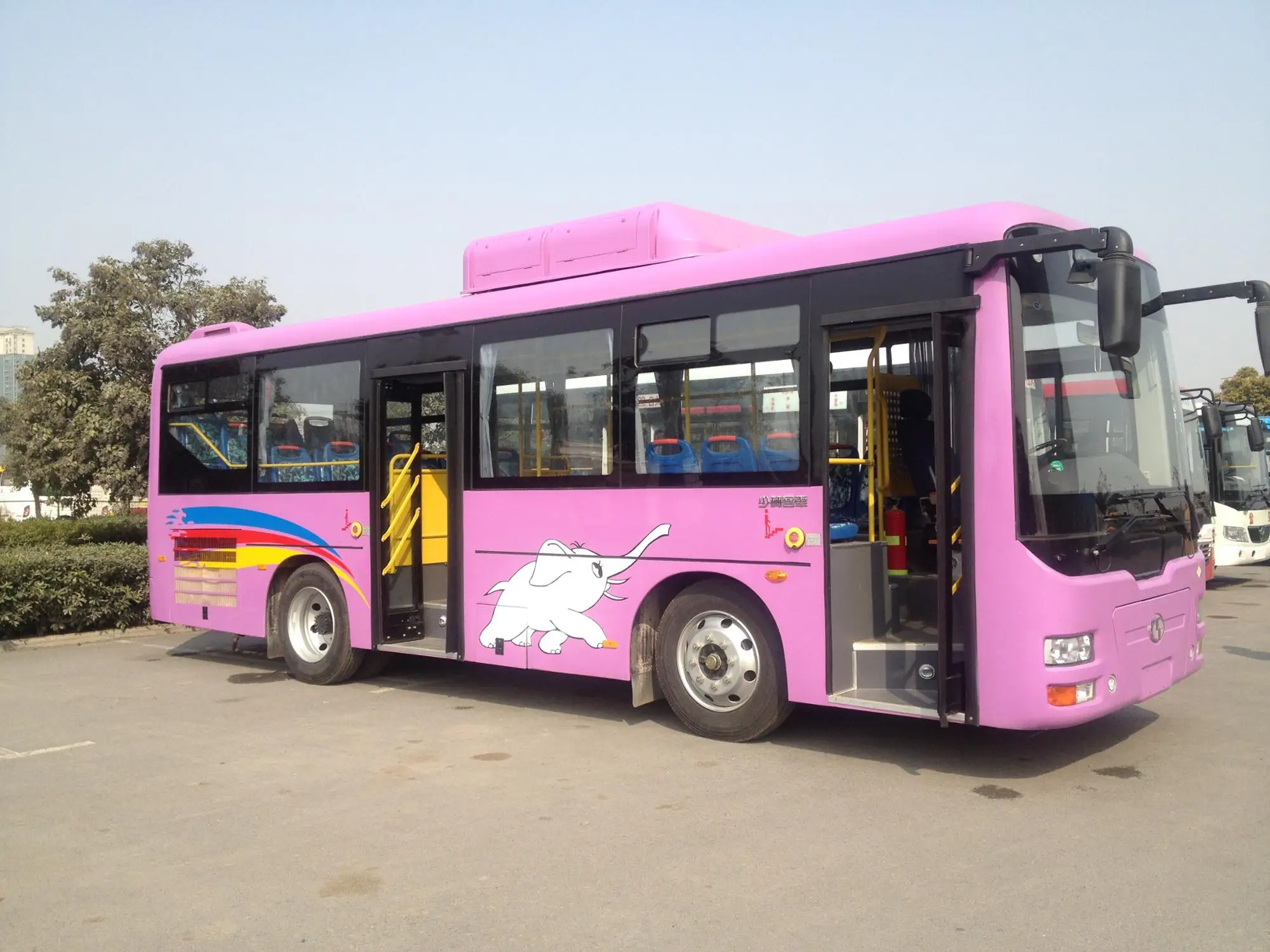 Diesel Intracity Public Bus