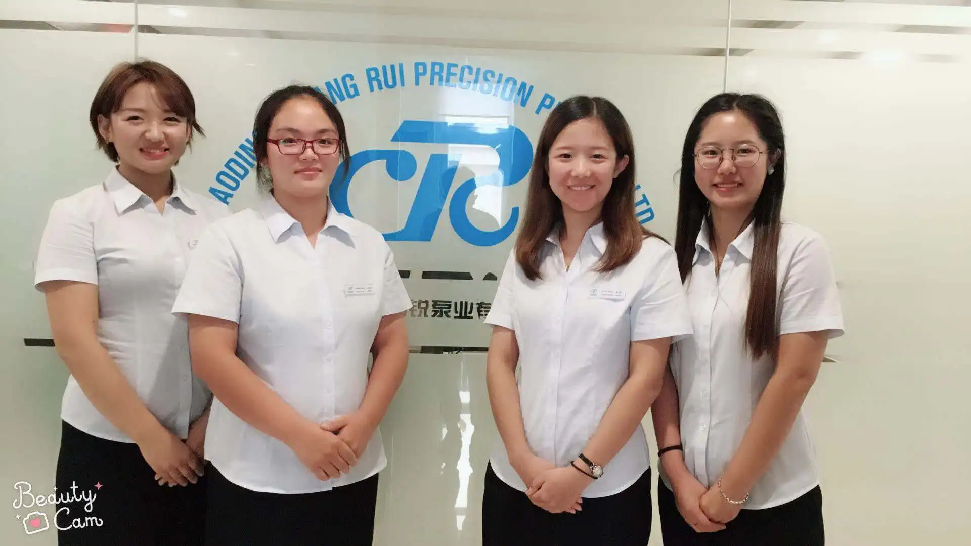 Chuangrui OEM Peristaltic Pump For Supporting Filling Machine