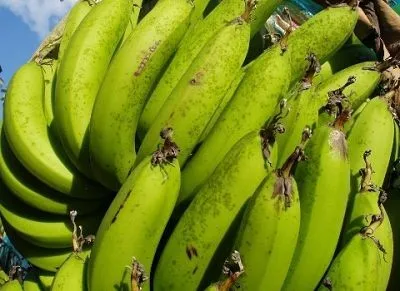 qingdao shandong new pesticide fungicide prochloraz 450g/l ew