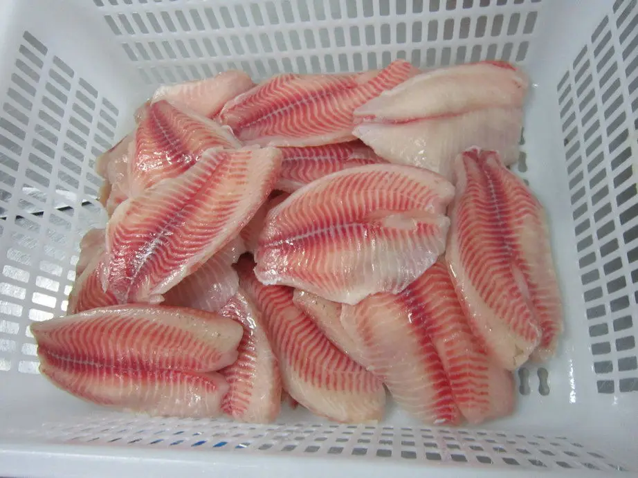 Tilapia Fillet (6)_.jpg