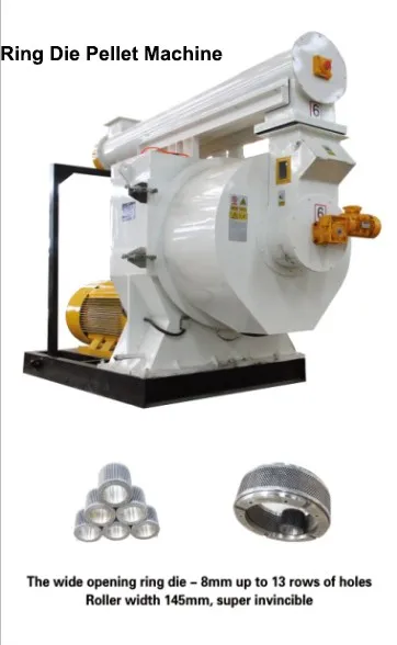 Related Product 01