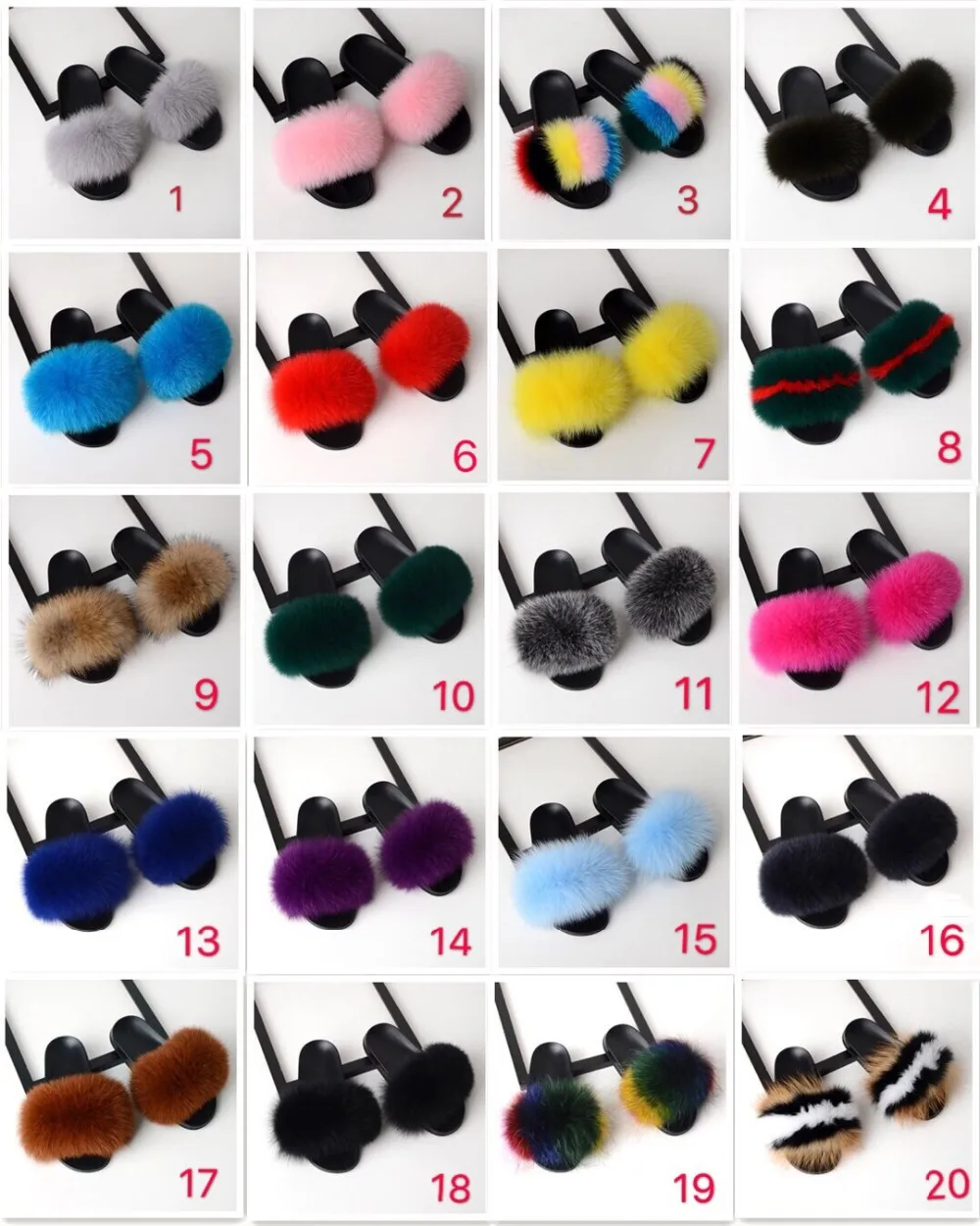 racoon slides
