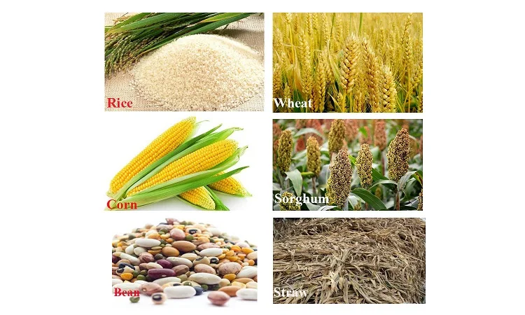 rice milling machine (2).jpg