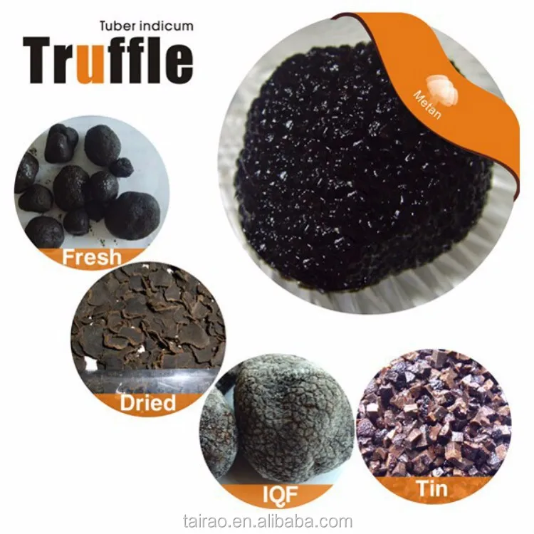 Yunnan Tuber Indicum Fresh Good Size Desert Truffle Wholesale Price ...