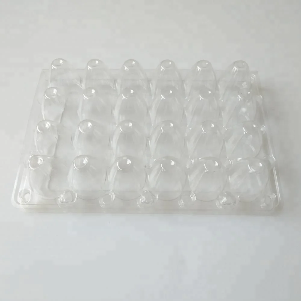 Plastic Quail Egg Carton Holds 24 Eggs Clear Tray Holds Two Dozen Eggs
