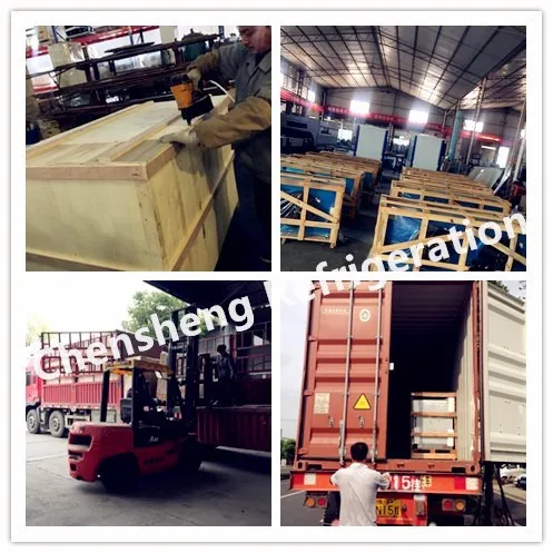 dwm copeland compressor