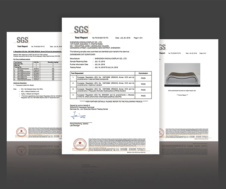 Certificate.jpg