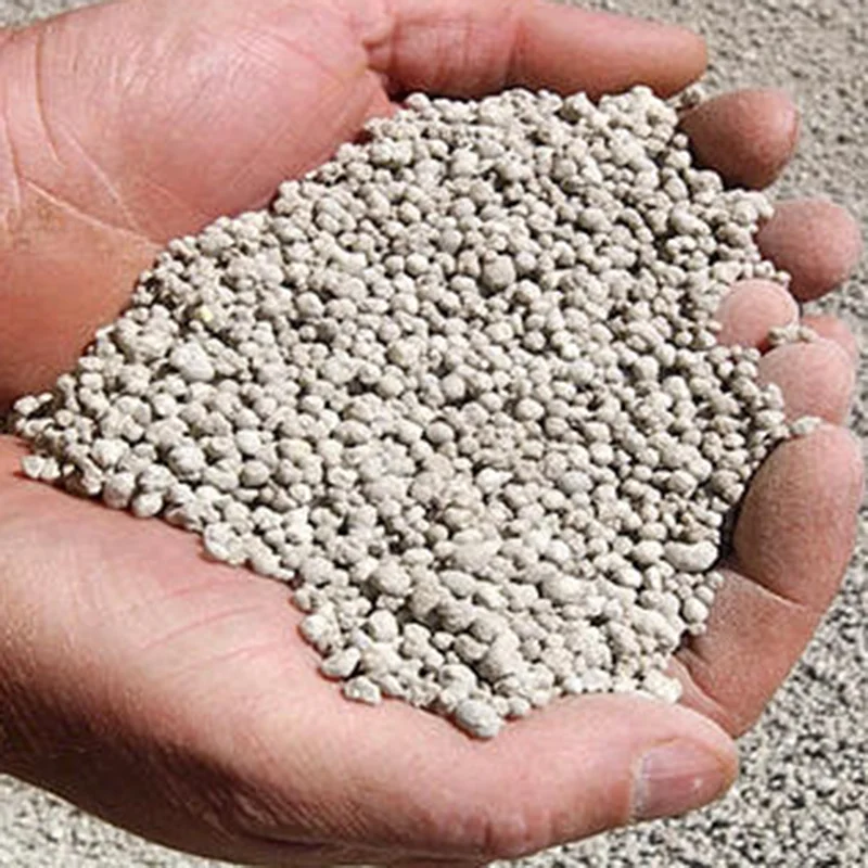 Granular And Powder P2o5 19 Ssp Single Super Phosphate Fertilizer