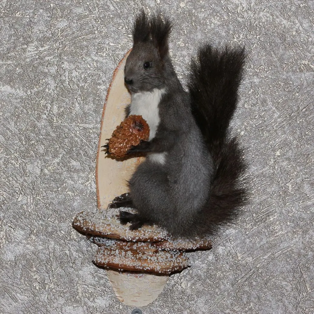 gray squirrel stuffed animal