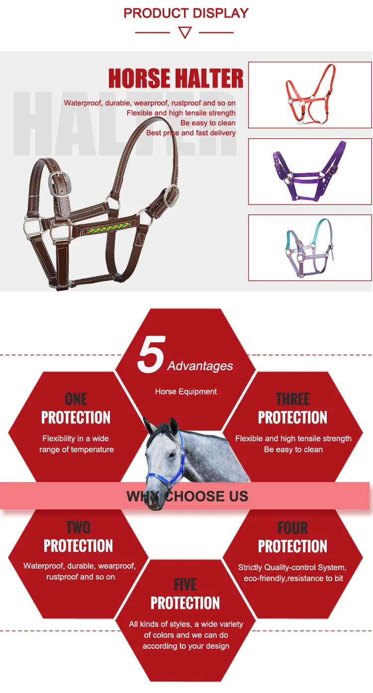 Customized yellow designer horse halters