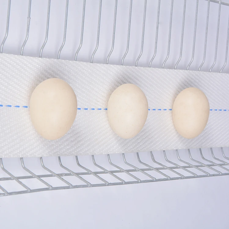 egg-conveyor-belt-egg-collecting-belt-of-polypropylene-for-conveying