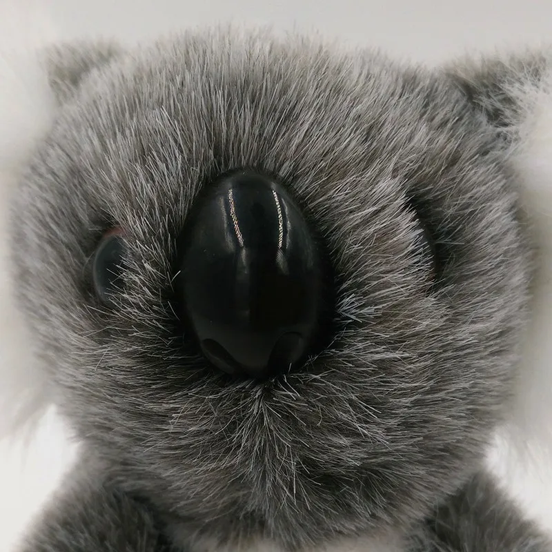 koala toys amazon