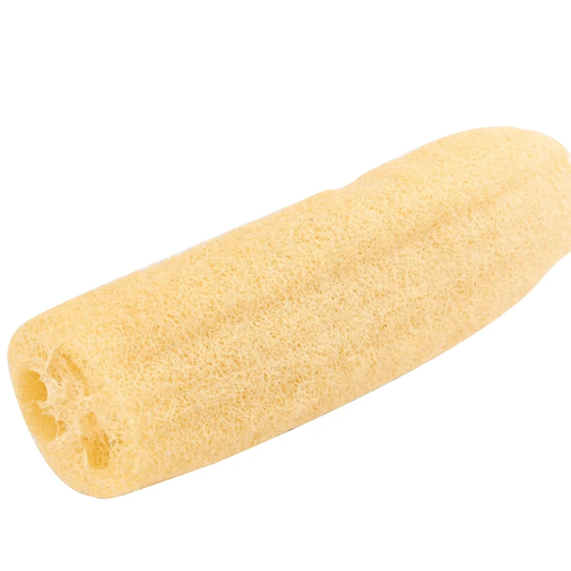 loofah sponge (1).jpg