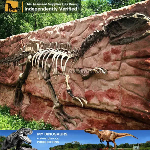 my dino-dinosaur museum fiberglass dinosaur bones