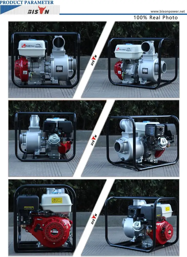 Bison (china) 2 Inch 4 Inch Submersible Deep Well Borehole Water Pump