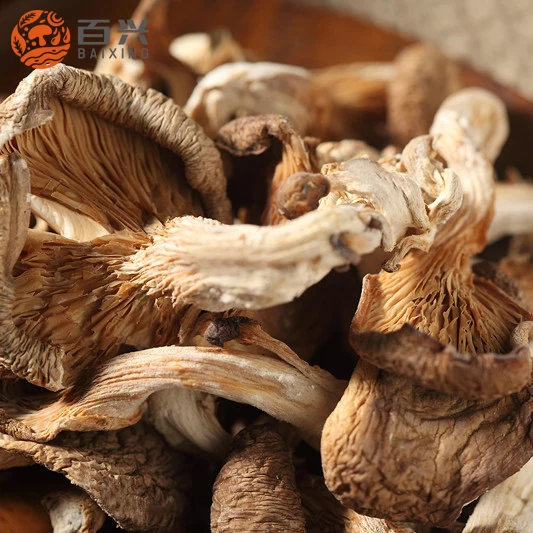 
wholesale dried oyster mushroom sliced price 