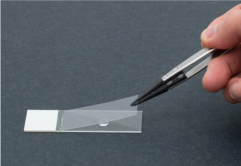 Wholesale Disposable Lab Clear Type Of Microscope Glass Slides Buy