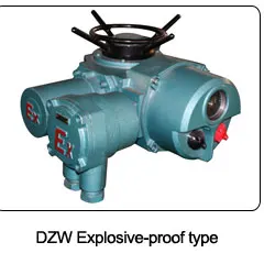 DZW--WK2_11.jpg