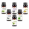 OEM/ODM Sweet Orange 100% Pure Best Therapeutic Grape Essential Oil Sets 10ml