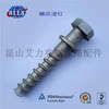 Hex Head Rail spike screw with plain washer