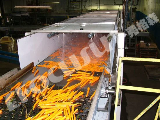 hydro cooler for carrots.jpg