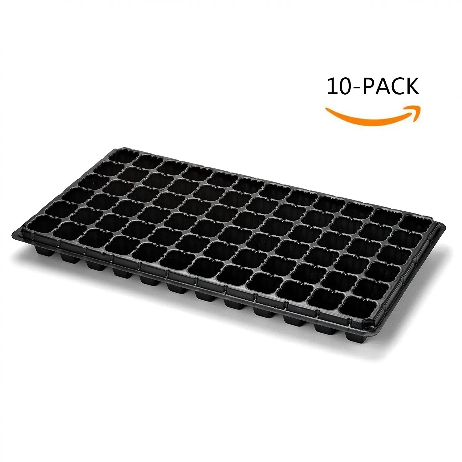 whooley thyme ground cover plug trays