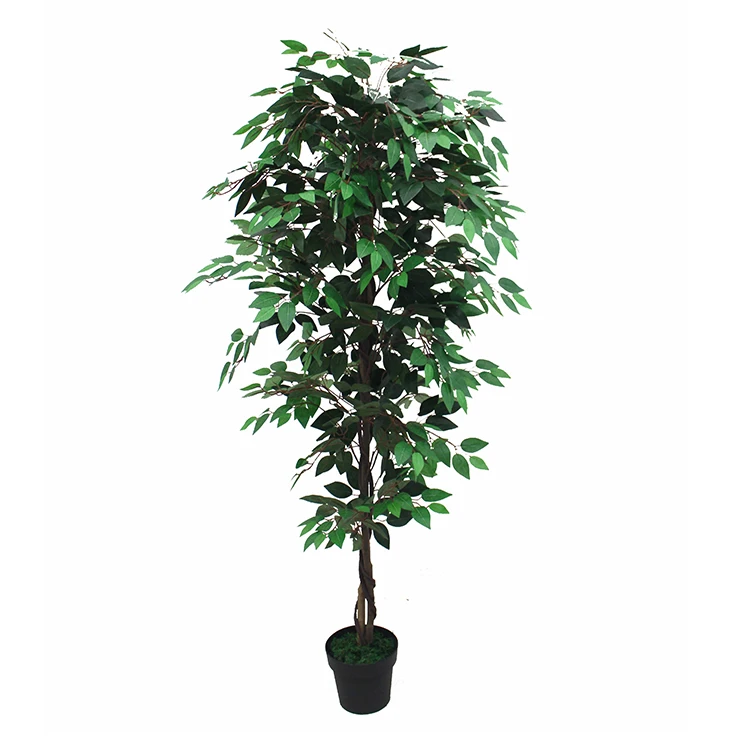 Decorative Cheap Artificial Ficus/benjamin Tree - Buy Artificial ...