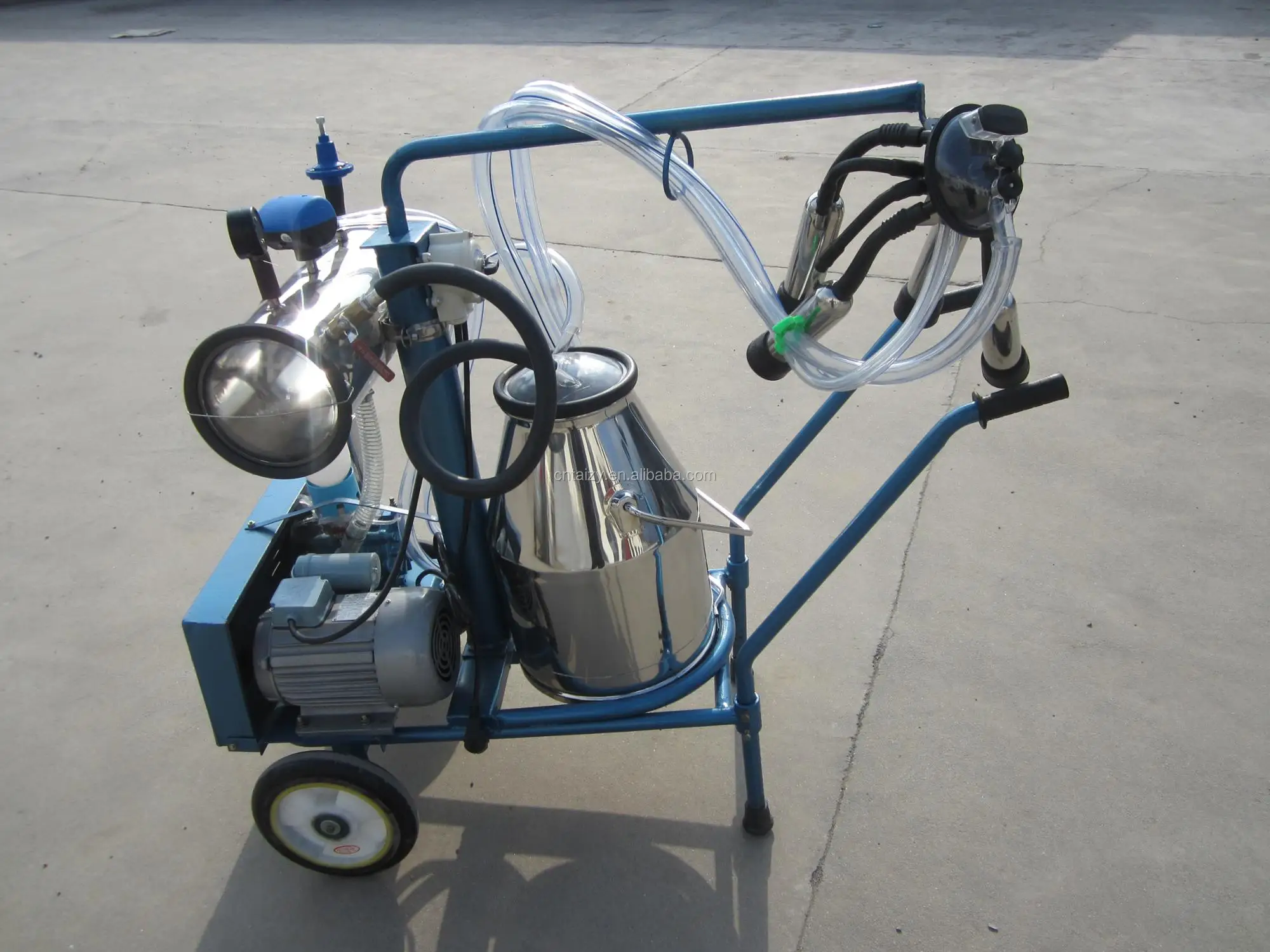 Stainless Cow Portable Price Milking Machines Vacuum Pump Type Cow