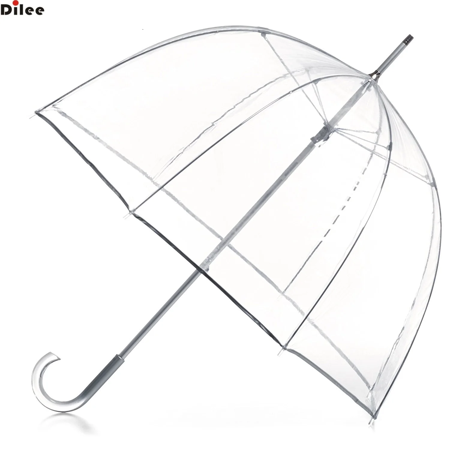 transparent umbrella.jpg